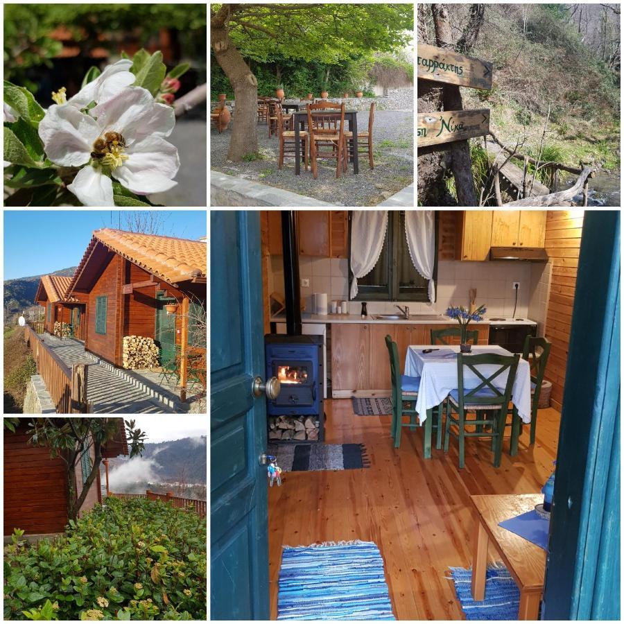 Alagonia Country Homes Kültér fotó