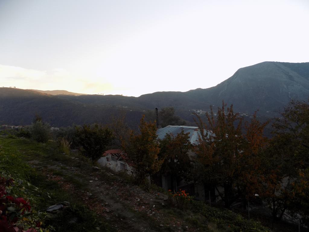Alagonia Country Homes Kültér fotó