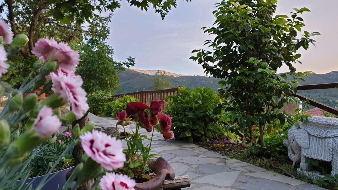 Alagonia Country Homes Kültér fotó