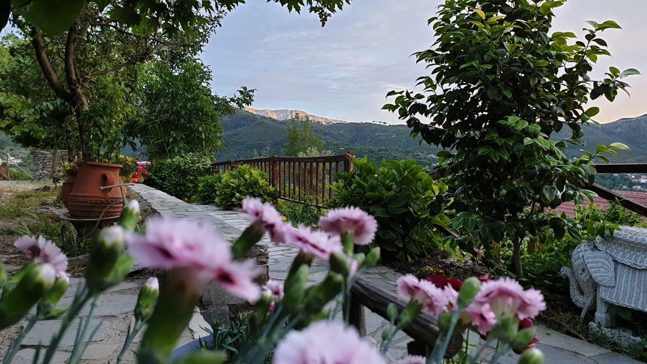 Alagonia Country Homes Kültér fotó