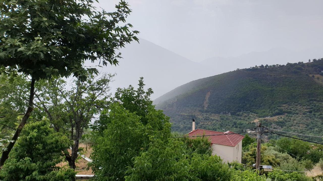 Alagonia Country Homes Kültér fotó